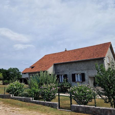 Apartman Lana Kijevo Екстер'єр фото